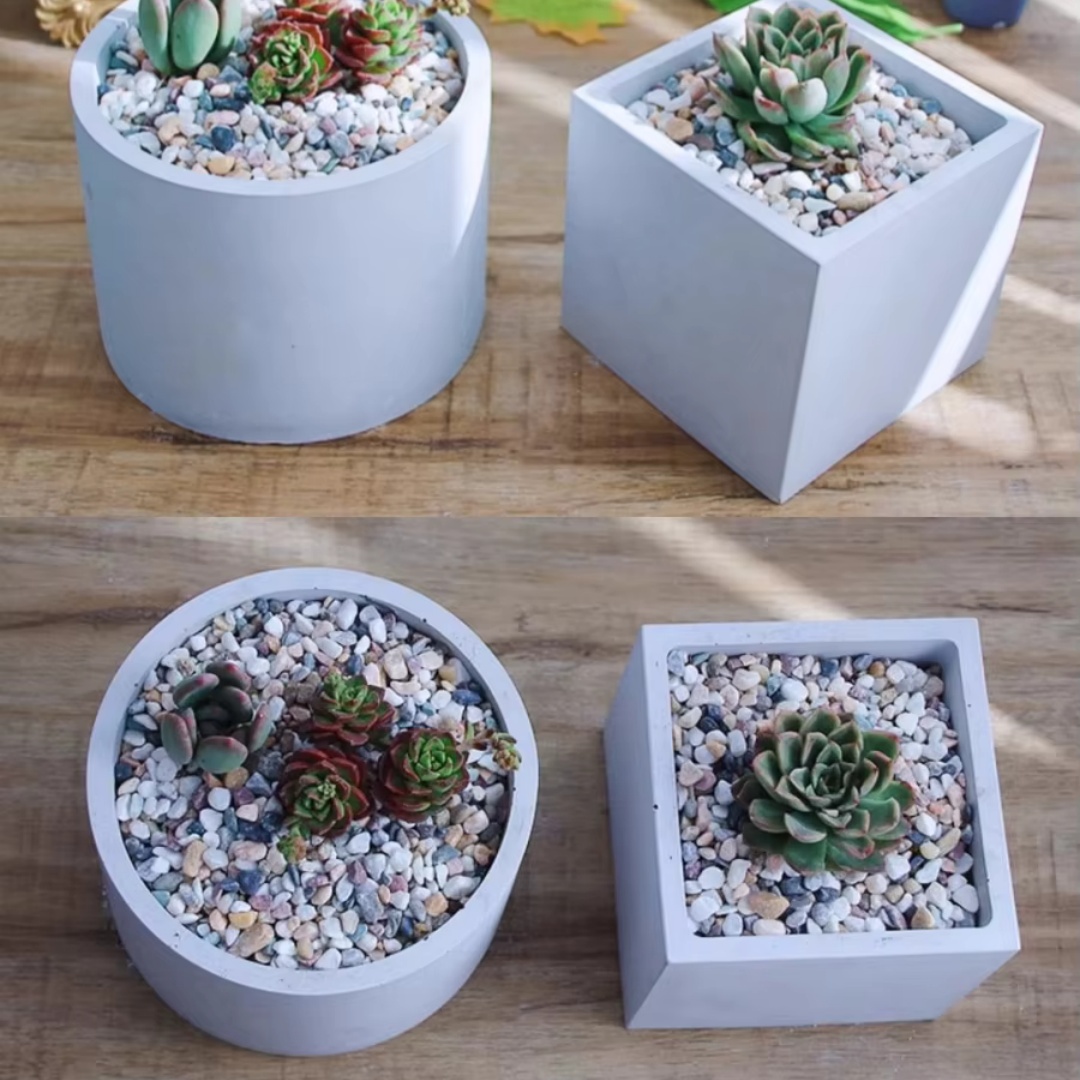 Molde de silicona redondo de 1 - Potsticker Mold reseña y precio