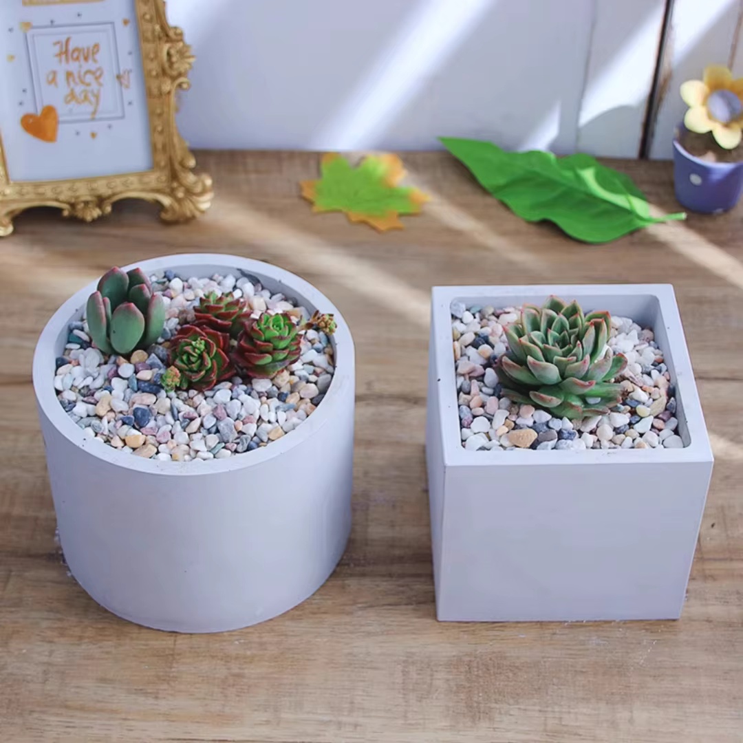 Molde de silicona redondo de 1 - Potsticker Mold reseña y precio