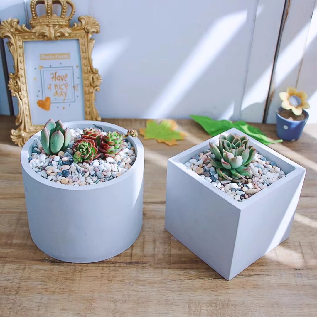 Molde de silicona redondo de 1 - Potsticker Mold reseña y precio