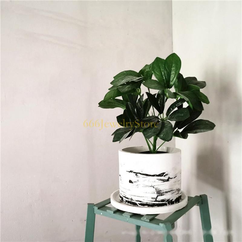 F2TD gran redonda planta macet - Potsticker Mold reseña y precio